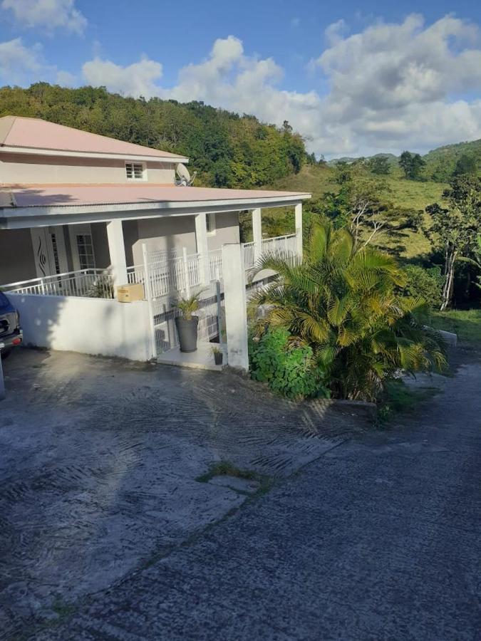 Chez Coco Appartement Balisier Riviere-Salee Εξωτερικό φωτογραφία